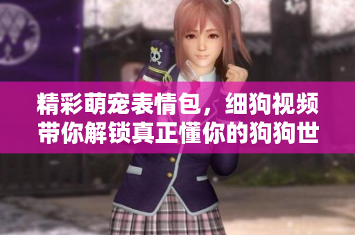精彩萌宠表情包，细狗视频带你解锁真正懂你的狗狗世界