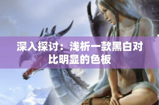 深入探讨：浅析一款黑白对比明显的色板