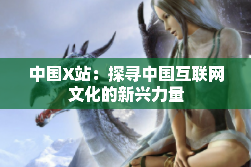 中国X站：探寻中国互联网文化的新兴力量