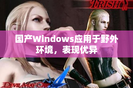 国产Windows应用于野外环境，表现优异