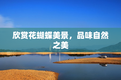 欣赏花蝴蝶美景，品味自然之美