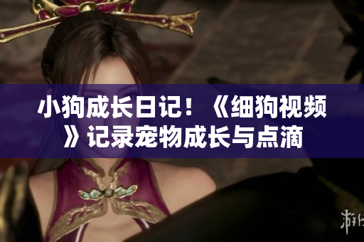小狗成长日记！《细狗视频》记录宠物成长与点滴