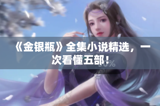 《金银瓶》全集小说精选，一次看懂五部！
