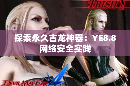 探索永久古龙神器：YE8.8网络安全实践