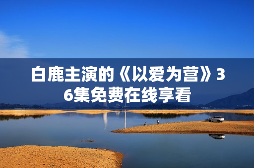 白鹿主演的《以爱为营》36集免费在线享看