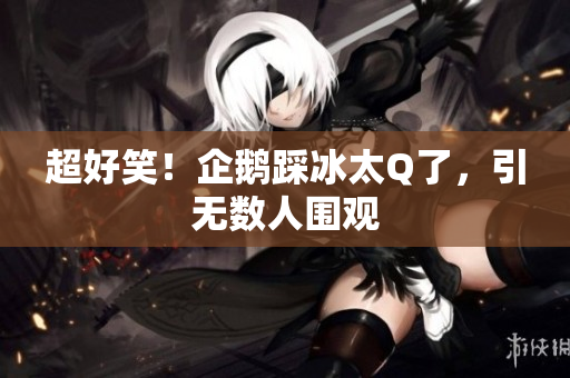 超好笑！企鹅踩冰太Q了，引无数人围观