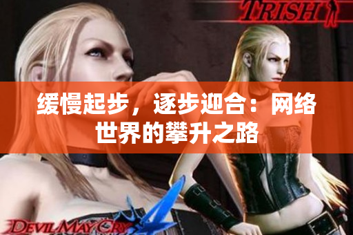 缓慢起步，逐步迎合：网络世界的攀升之路