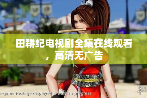 田耕纪电视剧全集在线观看，高清无广告
