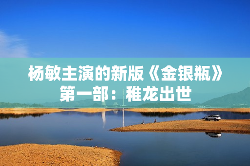 杨敏主演的新版《金银瓶》第一部：稚龙出世
