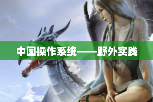 中国操作系统——野外实践