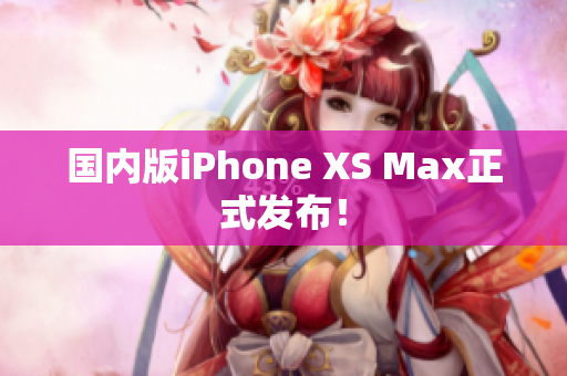 国内版iPhone XS Max正式发布！
