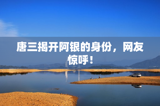 唐三揭开阿银的身份，网友惊呼！