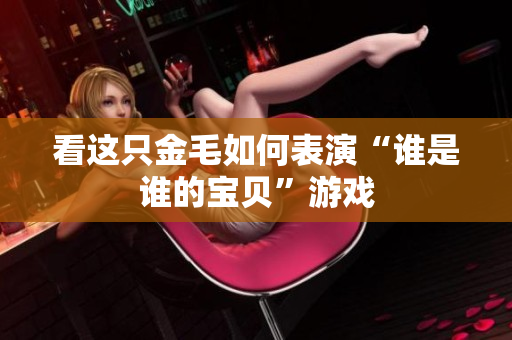 看这只金毛如何表演“谁是谁的宝贝”游戏
