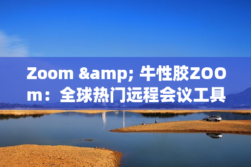 Zoom & 牛性胶ZOOm：全球热门远程会议工具