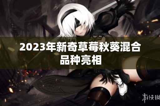 2023年新奇草莓秋葵混合品种亮相