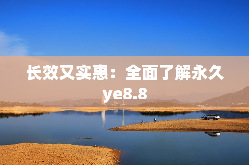 长效又实惠：全面了解永久ye8.8