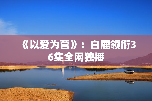 《以爱为营》：白鹿领衔36集全网独播