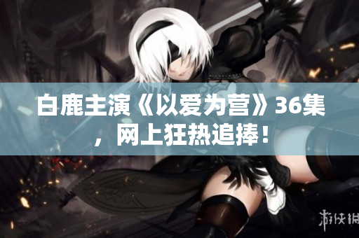 白鹿主演《以爱为营》36集，网上狂热追捧！