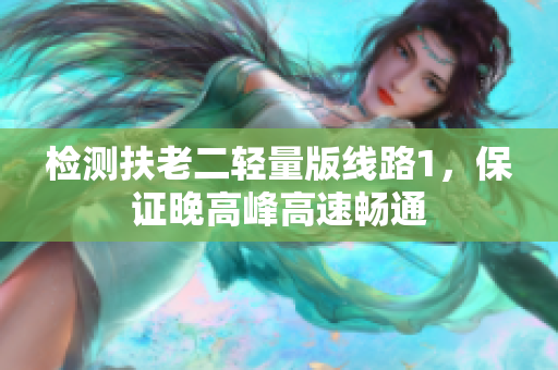 检测扶老二轻量版线路1，保证晚高峰高速畅通