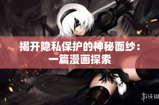 揭开隐私保护的神秘面纱：一篇漫画探索