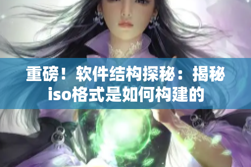 重磅！软件结构探秘：揭秘iso格式是如何构建的