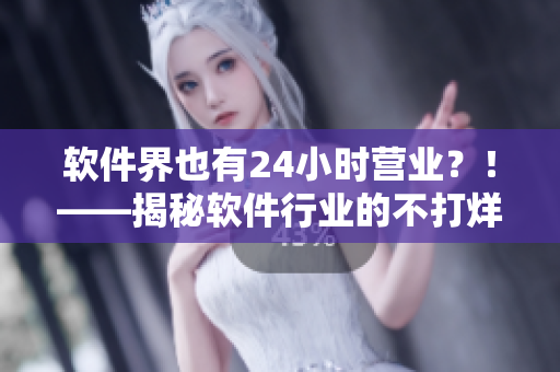 软件界也有24小时营业？！——揭秘软件行业的不打烊文化