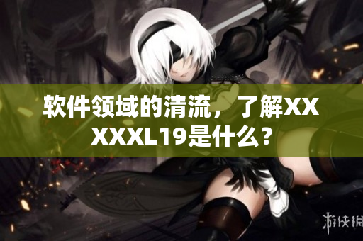 软件领域的清流，了解XXXXXL19是什么？