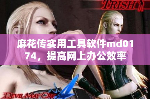 麻花传实用工具软件md0174，提高网上办公效率