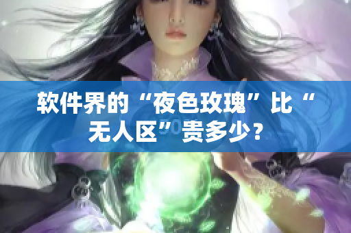 软件界的“夜色玫瑰”比“无人区”贵多少？