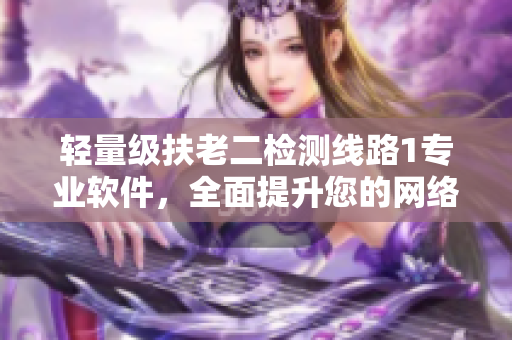 轻量级扶老二检测线路1专业软件，全面提升您的网络安全!
