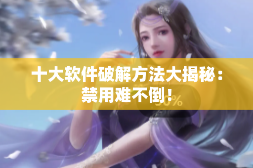 十大软件破解方法大揭秘：禁用难不倒！