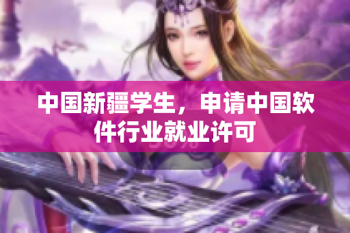 中国新疆学生，申请中国软件行业就业许可
