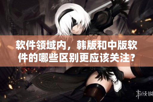 软件领域内，韩版和中版软件的哪些区别更应该关注？