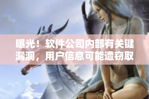 曝光！软件公司内部有关键漏洞，用户信息可能遭窃取