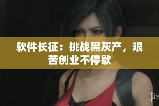 软件长征：挑战黑灰产，艰苦创业不停歇