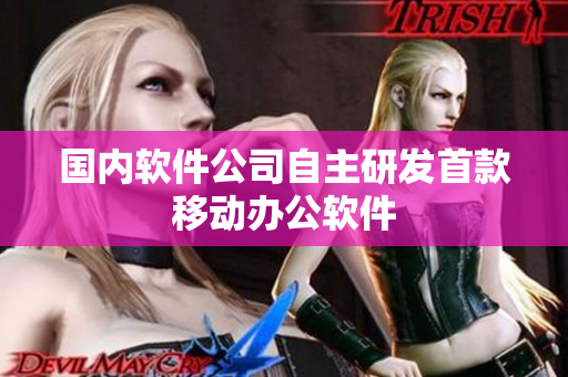 国内软件公司自主研发首款移动办公软件