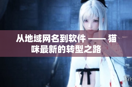 从地域网名到软件 —— 猫咪最新的转型之路