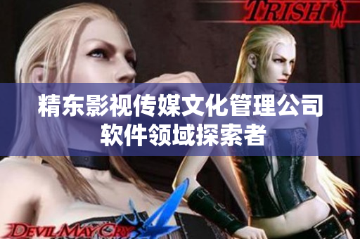 精东影视传媒文化管理公司 软件领域探索者