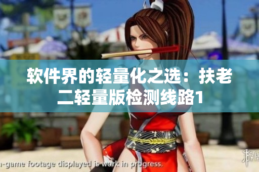 软件界的轻量化之选：扶老二轻量版检测线路1