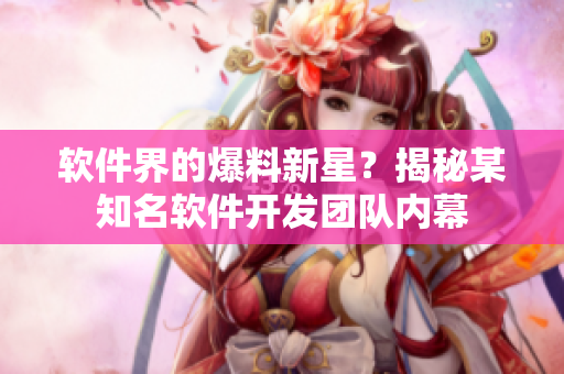 软件界的爆料新星？揭秘某知名软件开发团队内幕