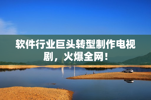 软件行业巨头转型制作电视剧，火爆全网！