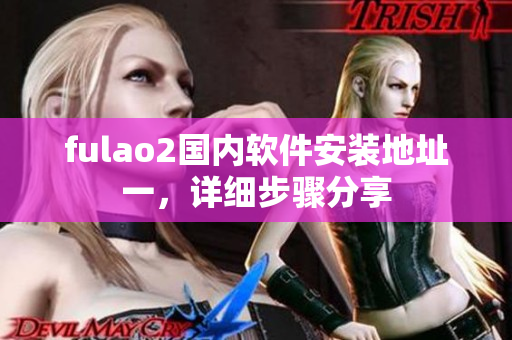 fulao2国内软件安装地址一，详细步骤分享