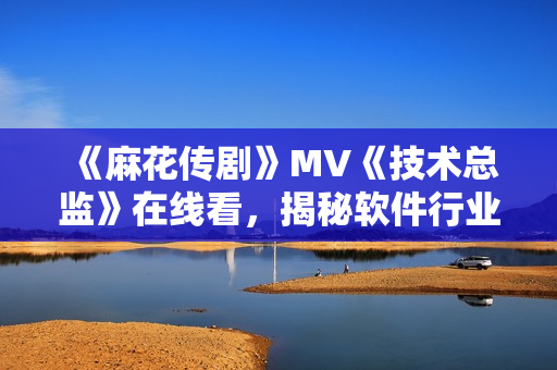 《麻花传剧》MV《技术总监》在线看，揭秘软件行业内幕