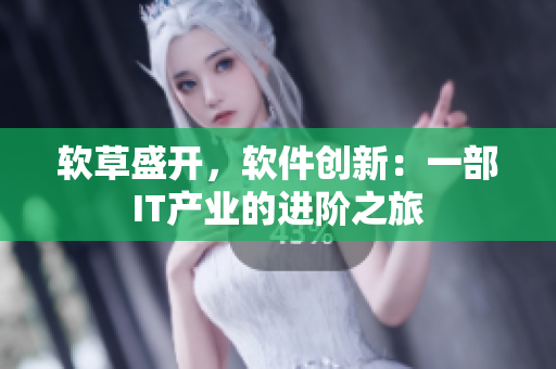 软草盛开，软件创新：一部IT产业的进阶之旅