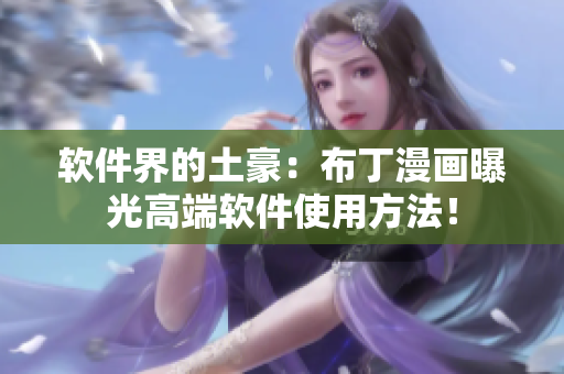 软件界的土豪：布丁漫画曝光高端软件使用方法！