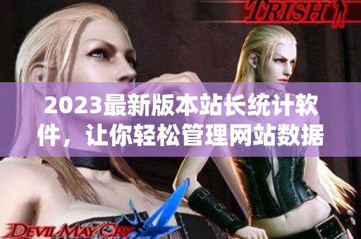 2023最新版本站长统计软件，让你轻松管理网站数据
