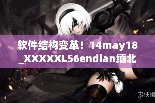 软件结构变革！14may18_XXXXXL56endian缅北探索全新架构(1)