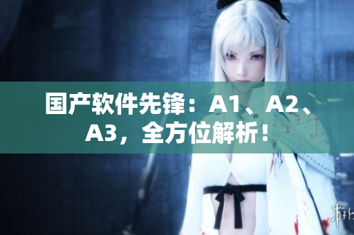 国产软件先锋：A1、A2、A3，全方位解析！