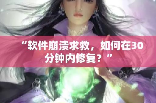 “软件崩溃求救，如何在30分钟内修复？”