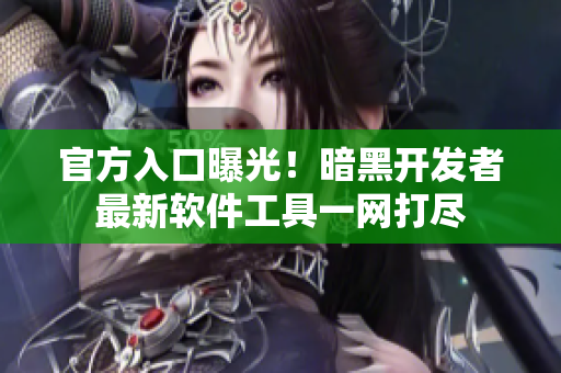 官方入口曝光！暗黑开发者最新软件工具一网打尽